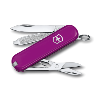 Нож-брелок Victorinox Classic SD Tasty Grape 0.6223.52G
